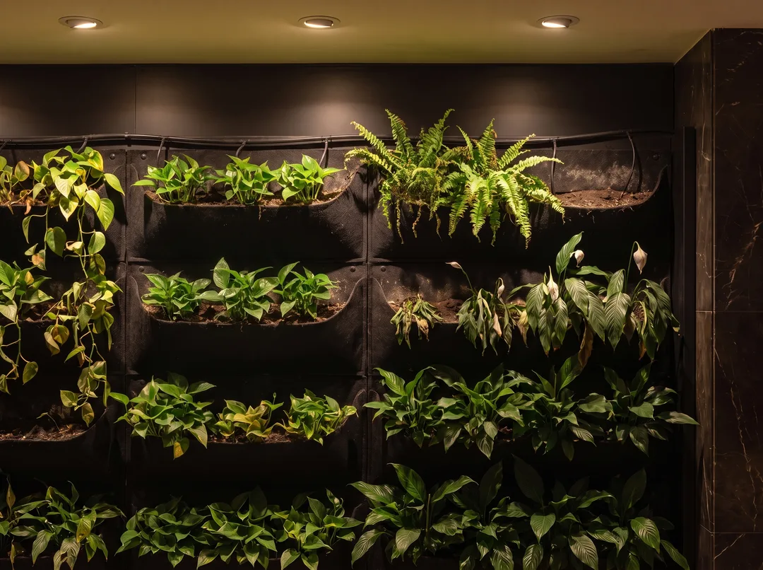 The same living wall section after the work, the top pockets replanted with young green plants and the fern fresh green.